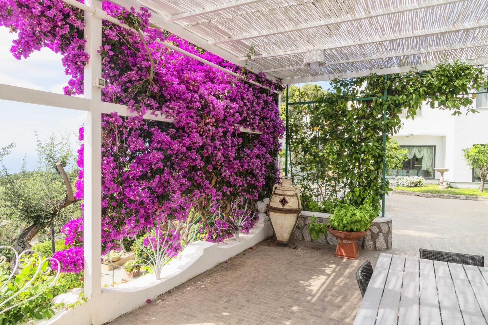 La Canostra Capri - Luxury Room Ad Anacapri Exterior foto